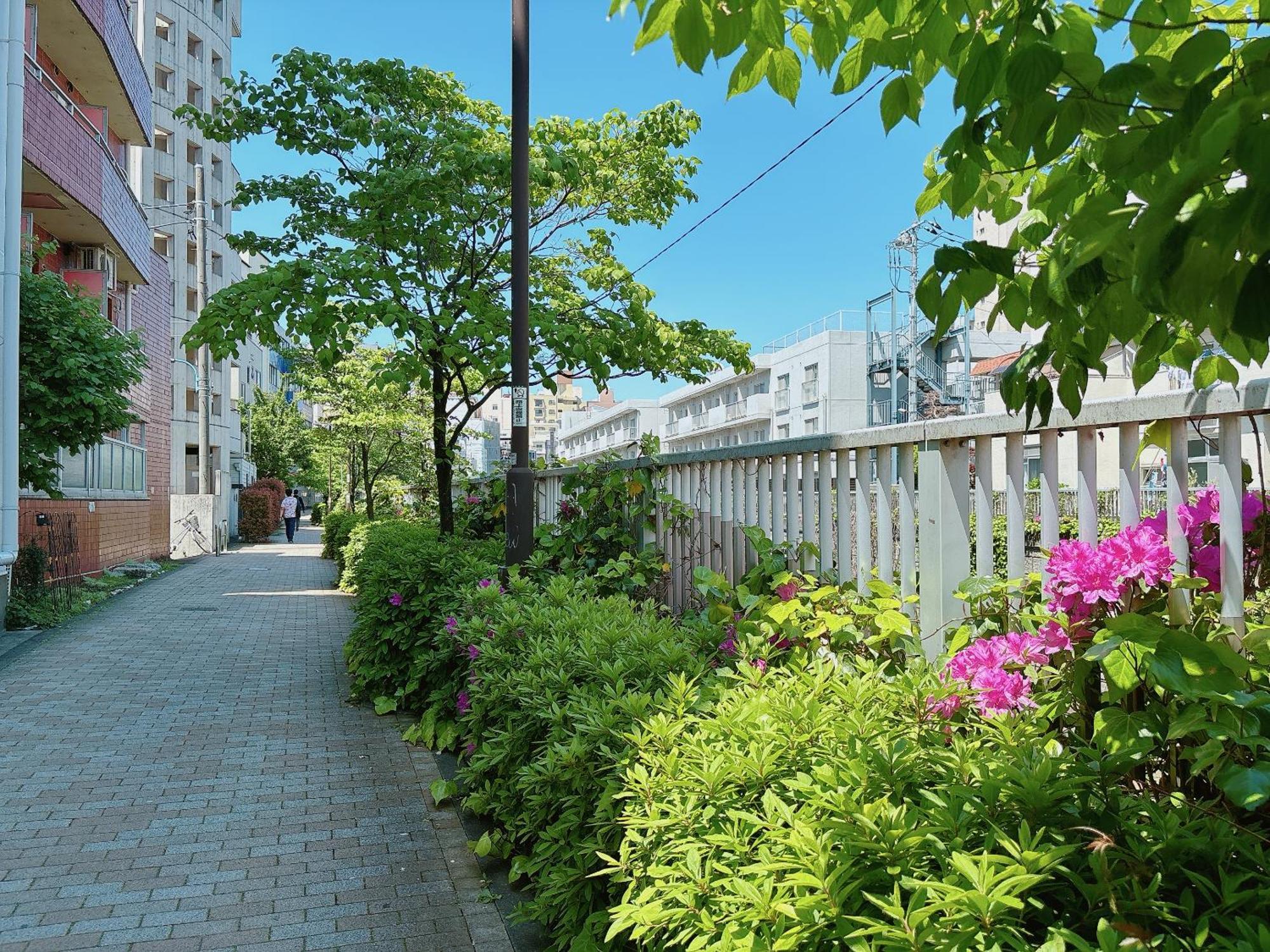 Appartement Shinjuku Business House 5min Walk 新宿高田馬場駅歩行5分 Tokio