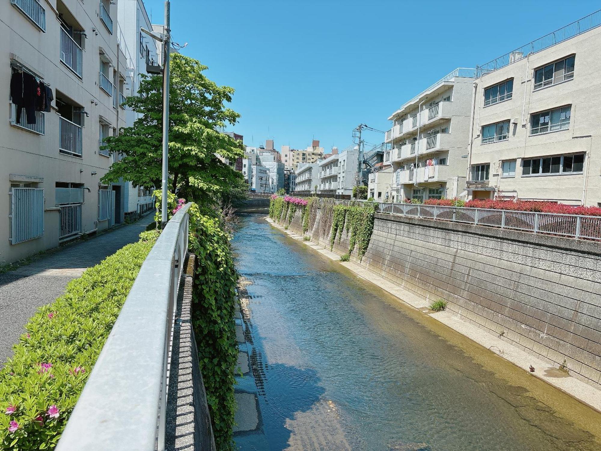 Shinjuku Business House 5min Walk 新宿高田馬場駅歩行5分 Appartement *